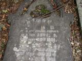 image of grave number 48916